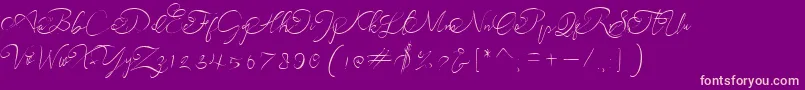 andora ardelion demo Font – Pink Fonts on Purple Background