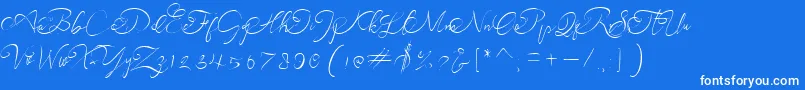 andora ardelion demo-Schriftart – Weiße Schriften auf blauem Hintergrund