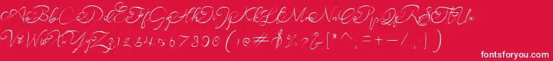 andora ardelion demo-Schriftart – Weiße Schriften auf rotem Hintergrund