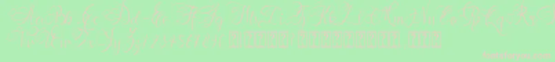 Andora Font – Pink Fonts on Green Background