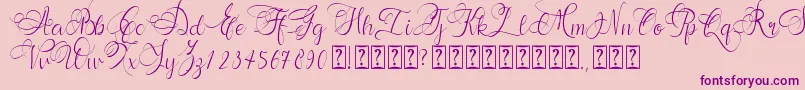 Andora Font – Purple Fonts on Pink Background