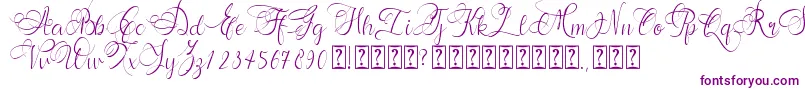 Andora Font – Purple Fonts on White Background