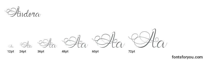 Размеры шрифта Andora