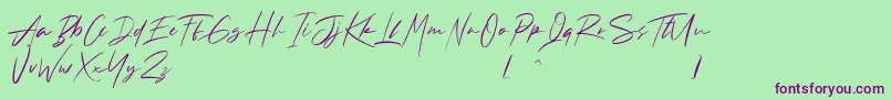Andrea Roft Personal Use Font – Purple Fonts on Green Background