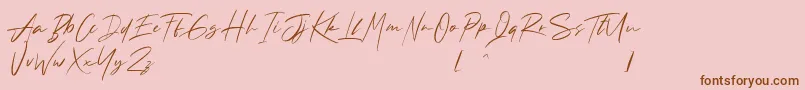 Andrea Roft Personal Use Font – Brown Fonts on Pink Background