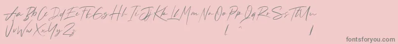 Andrea Roft Personal Use Font – Gray Fonts on Pink Background