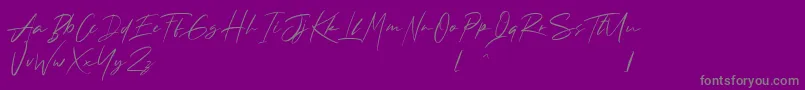 フォントAndrea Roft Personal Use – 紫の背景に灰色の文字