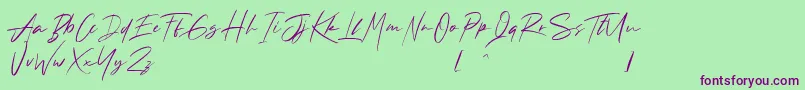 Andrea Roft Personal Use Font – Purple Fonts on Green Background