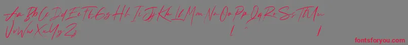 Andrea Roft Personal Use Font – Red Fonts on Gray Background