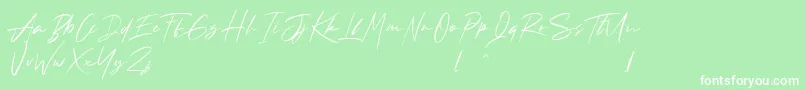 Andrea Roft Personal Use Font – White Fonts on Green Background