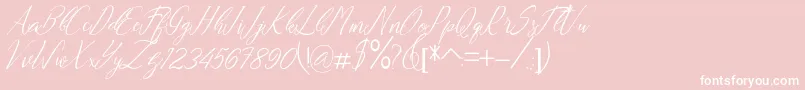 Andrea Font – White Fonts on Pink Background