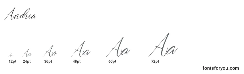 Размеры шрифта Andrea (119563)