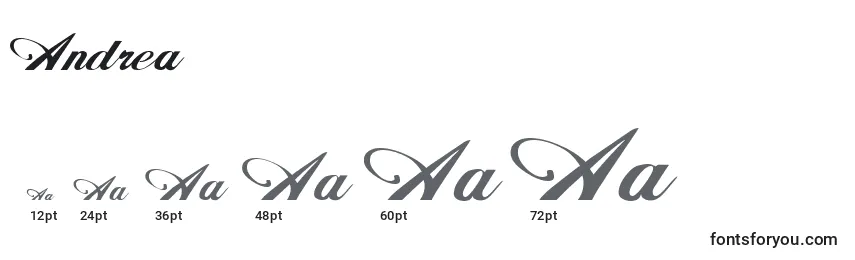 Размеры шрифта Andrea (119564)