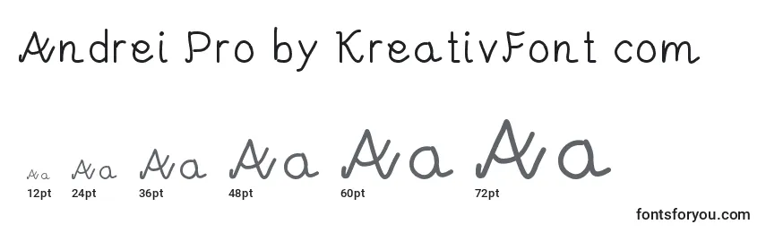 Размеры шрифта Andrei Pro by KreativFont com