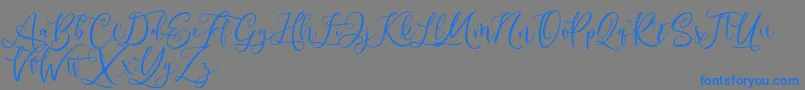 Шрифт Andriani Script – синие шрифты на сером фоне