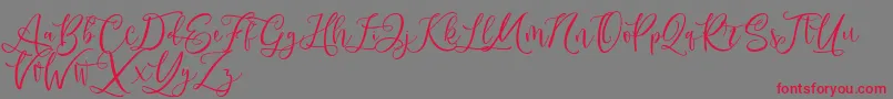 Andriani Script Font – Red Fonts on Gray Background
