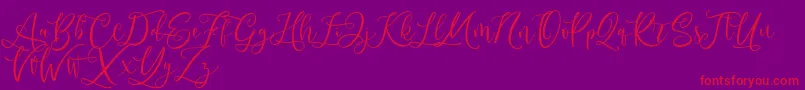 Czcionka Andriani Script – czerwone czcionki na fioletowym tle