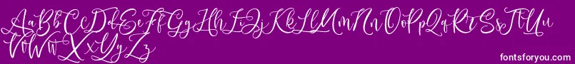 fuente Andriani Script – Fuentes Blancas Sobre Fondo Morado