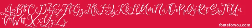 Andriani Script Font – White Fonts on Red Background