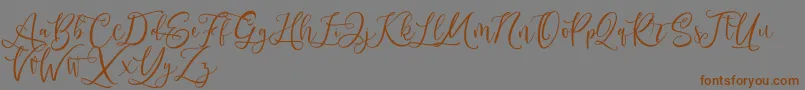 fuente Andriani Script – Fuentes Marrones Sobre Fondo Gris