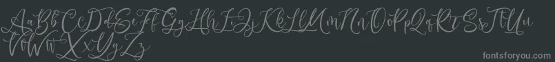 フォントAndriani Script – 黒い背景に灰色の文字