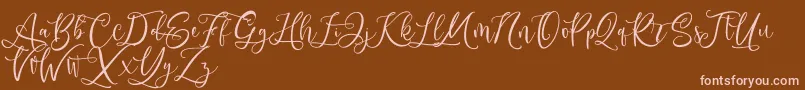 Andriani Script Font – Pink Fonts on Brown Background