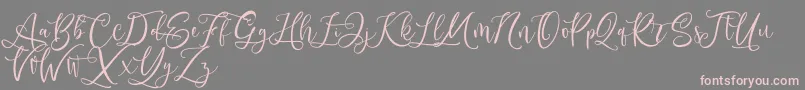 Andriani Script-fontti – vaaleanpunaiset fontit harmaalla taustalla