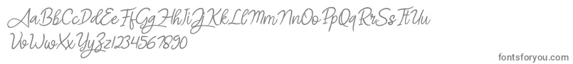 フォントAngel Signature Italic – 白い背景に灰色の文字