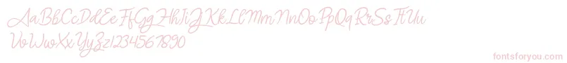 Angel Signature Italic Font – Pink Fonts