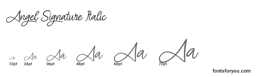 Размеры шрифта Angel Signature Italic