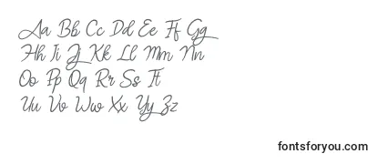 Überblick über die Schriftart Angel Signature Italic