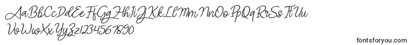 Шрифт Angel Signature Italic – шрифты для гербов
