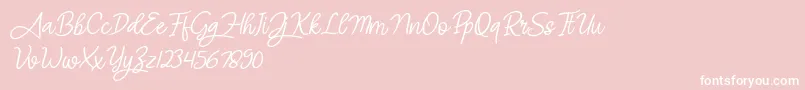 Angel Signature Italic-Schriftart – Weiße Schriften auf rosa Hintergrund