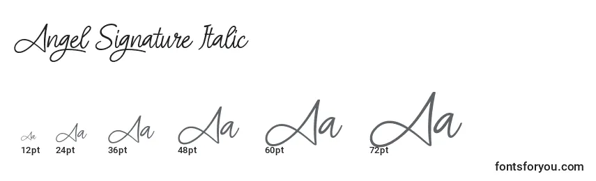 Размеры шрифта Angel Signature Italic (119594)