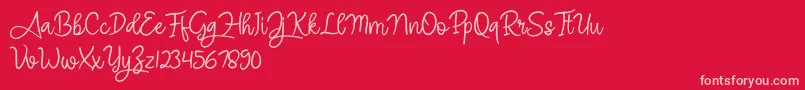 Angel Signature Font – Pink Fonts on Red Background