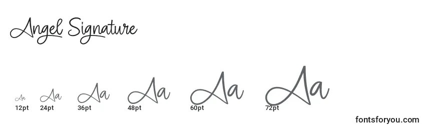 Размеры шрифта Angel Signature