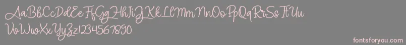 Angel Signature Font – Pink Fonts on Gray Background