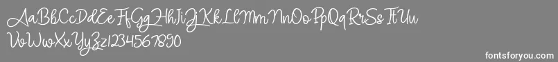 Angel Signature Font – White Fonts on Gray Background
