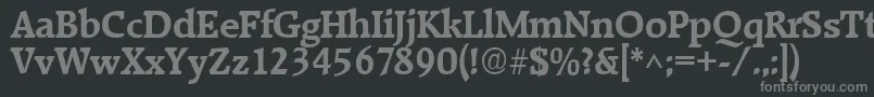 RaleighBold Font – Gray Fonts on Black Background