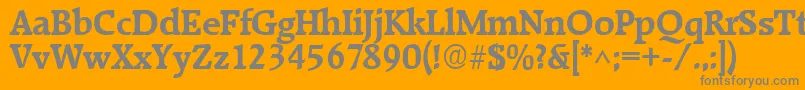 フォントRaleighBold – オレンジの背景に灰色の文字