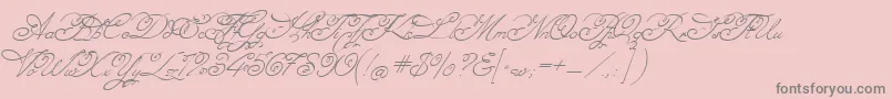 Angelica Font – Gray Fonts on Pink Background