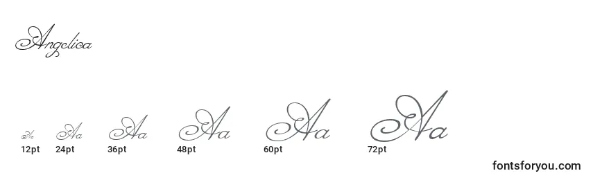 Размеры шрифта Angelica (119610)