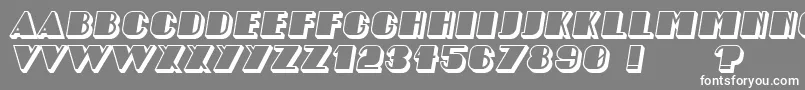 AngelicaShadow Italic-Schriftart – Weiße Schriften auf grauem Hintergrund