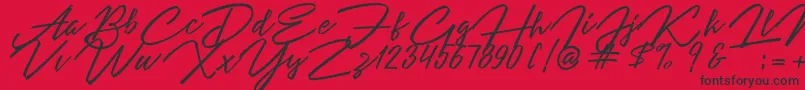 Angelina Script Font – Black Fonts on Red Background