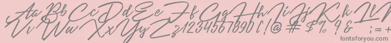 Angelina Script Font – Gray Fonts on Pink Background