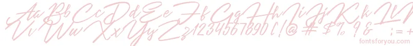 Angelina Script Font – Pink Fonts on White Background