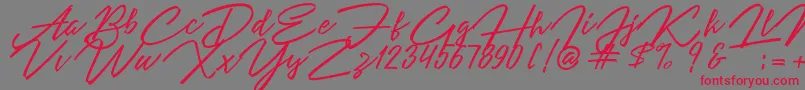 Шрифт Angelina Script – красные шрифты на сером фоне