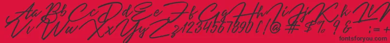 Angelina Script Font – Black Fonts on Red Background