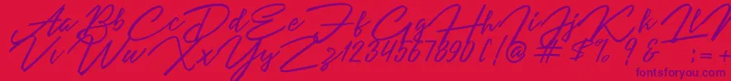 Angelina Script Font – Purple Fonts on Red Background