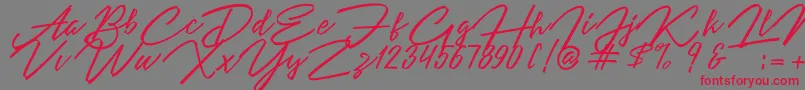 Angelina Script-Schriftart – Rote Schriften auf grauem Hintergrund